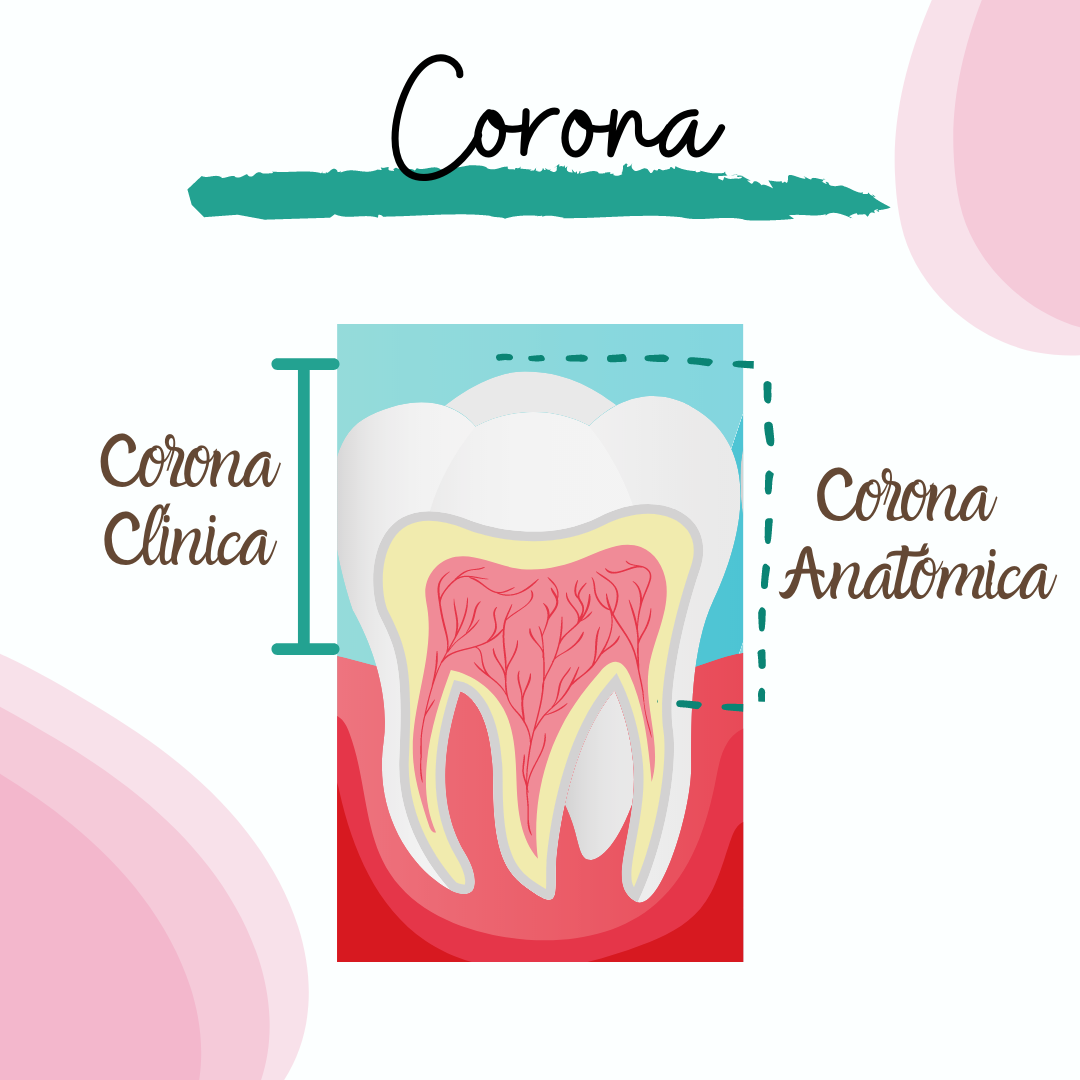 Corona