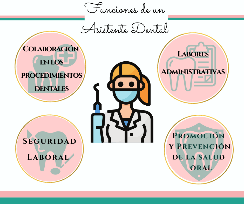 Las principales funciones de un asistente dental