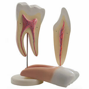 blog-image